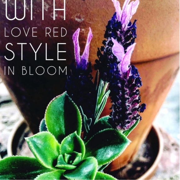 Amethyst Crystal Square Stone Purple Ring - Picture 7 of 7